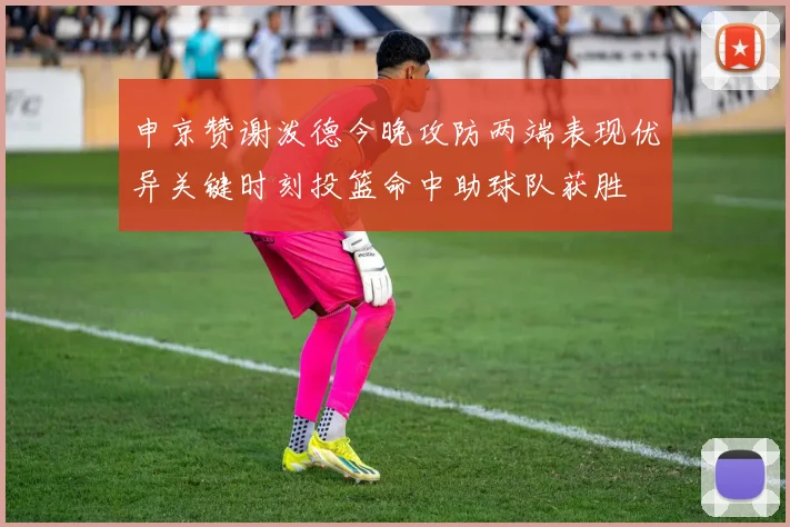 申京赞谢泼德今晚攻防两端表现优异关键时刻投篮命中助球队获胜