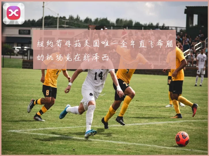 纽约寄母菇美国唯一全年直飞希腊的机场竟在新泽西