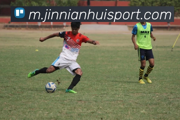 金年会平台生态图