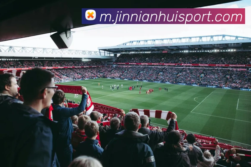 金年会APP 封面图